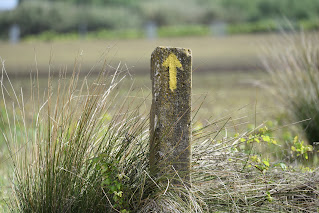 Camino Portuguese Yellow Arrow to Santiago.