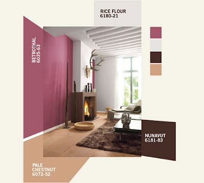 Interior Color Idea 2011