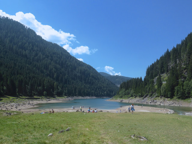 paneveggio-dolomiti