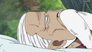 ワンピース アニメ 空島 スカイピア 166話 ガン・フォール | ONE PIECE Episode 166 Skypiea