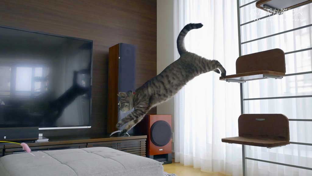猫のジャンプをスローモーションで楽しむ ぷかぷか雑記帳