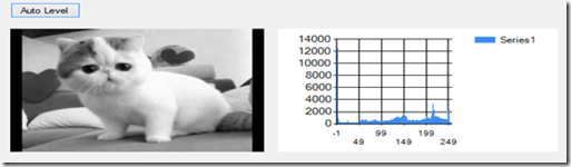 Citra Auto Level C#