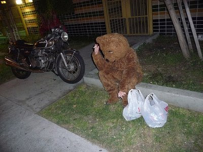 Shopping Bear, smoking on the Lawn, with a Motorcycle