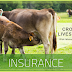 Crops and Livestock Insurance