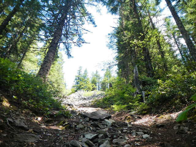 laurel hill along the oregon trail in oregon