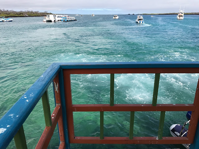 Isla Santa Cruz, Islas Galápagos