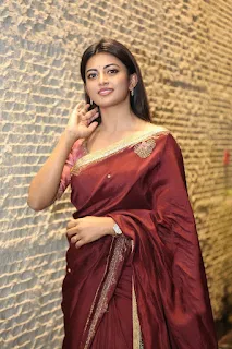 Actress Anandhi at Itlu Maredumilli Prajaneekam Movie Pre release