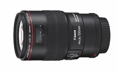 Canon 100mm f/2.8 IS USM Macro Lens