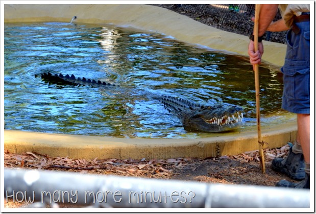 Billabong Sanctuary | How Many More Minutes?