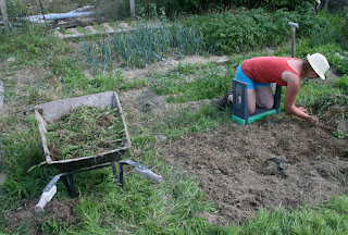 Digging out a new bed