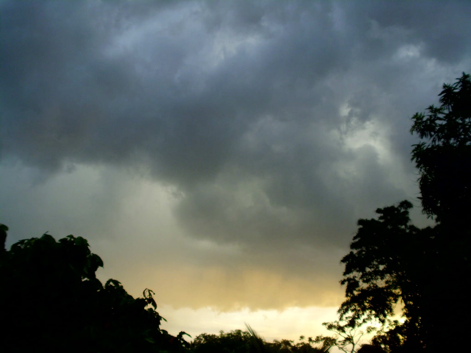 Colorado do Oeste | Rondônia 