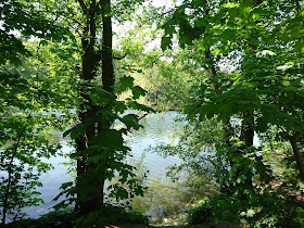 Blick auf die Krumme Lanke vom Uferweg. Der See selbst ist sonnenbeschienen, Bäume und Weg liegen im Schatten.
