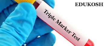 Triple Marker Test In Pregnancy