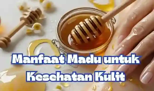 manfaat madu untuk kulit 