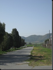 IMG_1900