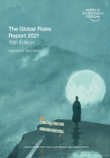 16th Global Risks Report 2021