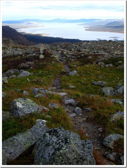 Här någonstans hade jag gått 7 km från Pårtestugan men inte en glimt av något vindskydd som skulle ligga här. Deras avståndsskyltar är då inte att lite på.