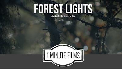 Forest Lights Bokeh Film