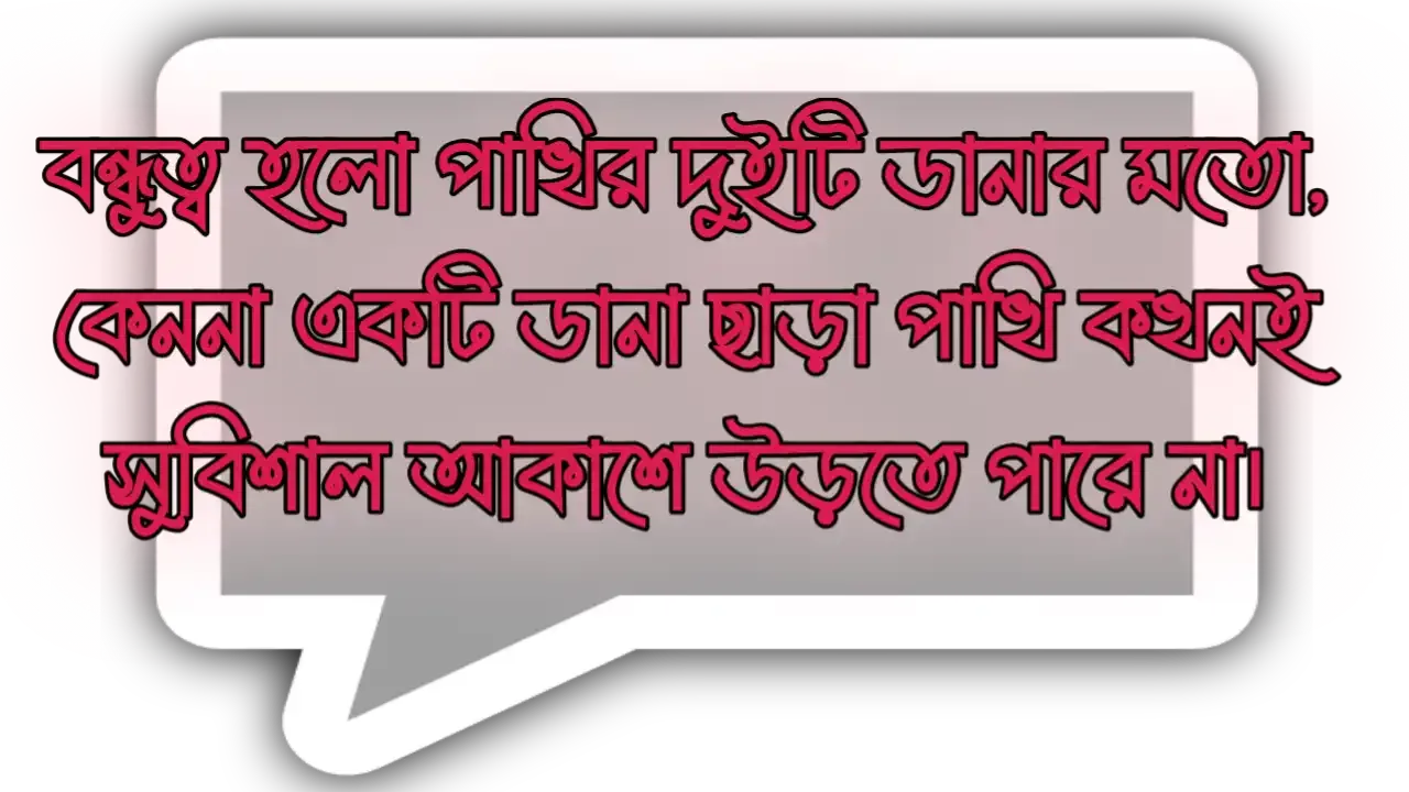 বন্ধু নিয়ে স্ট্যাটাস