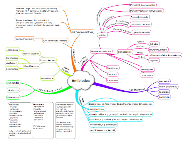 Antibiotics Summary