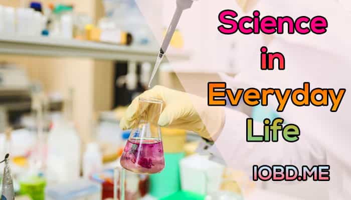 science in everyday life paragraph essay and composition