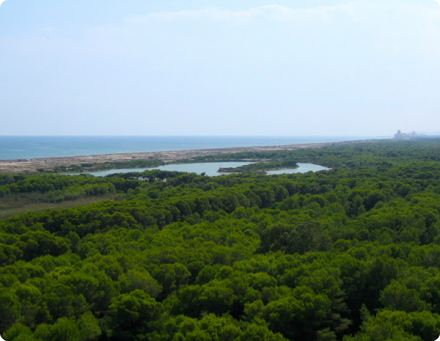 Parque Natural de la Albufera