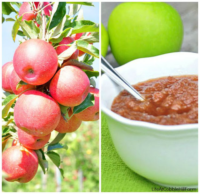 Making and Freezing Applesauce