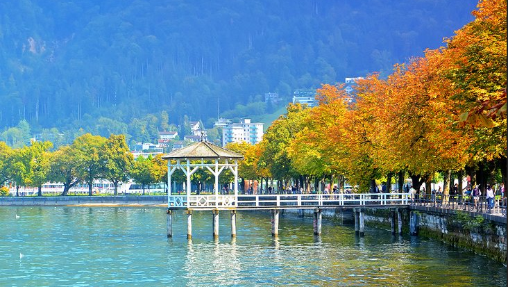 Top 8 Attractions and What should be done in Bregenz wwneed.com