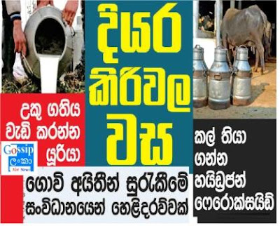 Sri Lanka Raw milk producers add harmful chemicals to preserve milk