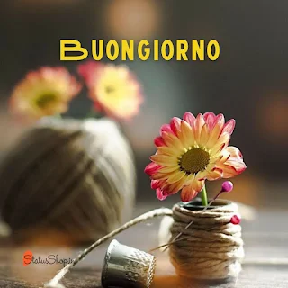 Immagini-Buongiorno