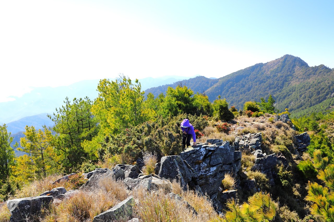 卑南東稜與卑南主山東峰最後一段岩稜