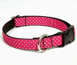 best collar for your puppy dog training