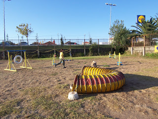 43º Troféu de Agility