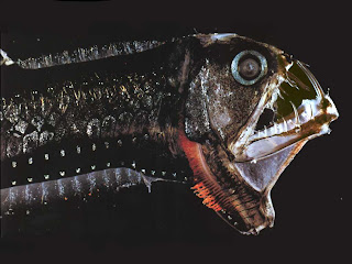 The Deep Sea Viperfish