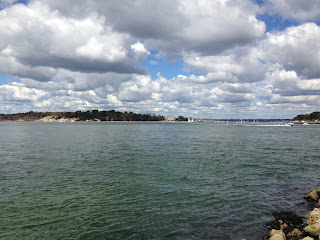 National trust island in Poole harbour of Brownsea Island