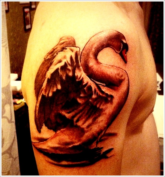 50 Designs de Tatuagens de Cisne que Vão Te Inspirar