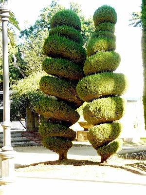 Parque Genoves Cadiz