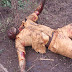 Tragedy! Man's Corpse Found In Ojutu River In Osun (Graphic Picture)