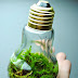 20 Awesome DIY Ideas For Recycling Old Light Bulbs