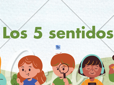 Los 5 sentidos