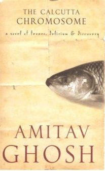 Cover of the novel The Calcutta Chromosome by Amitav Ghosh. Image shows a fish, perhaps referring to a rotten fish in the story that sets a woman journalist protagonist on her strange quest.