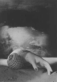 Dora Maar, Coquillage, 1934