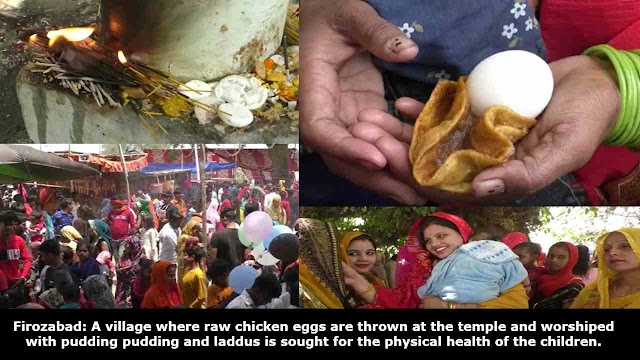  Firozabad: A village where raw chicken eggs are thrown at the temple and worshiped with pudding pudding and laddus is sought for the physical health of the children.