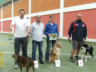 agility open montijo