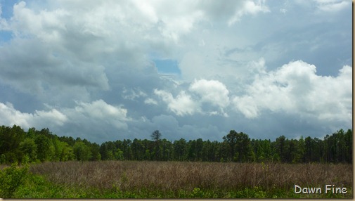 Clouds near Cassins Sp_005