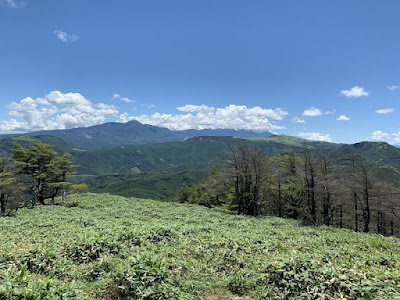 走ってきたビーナスラインの方角