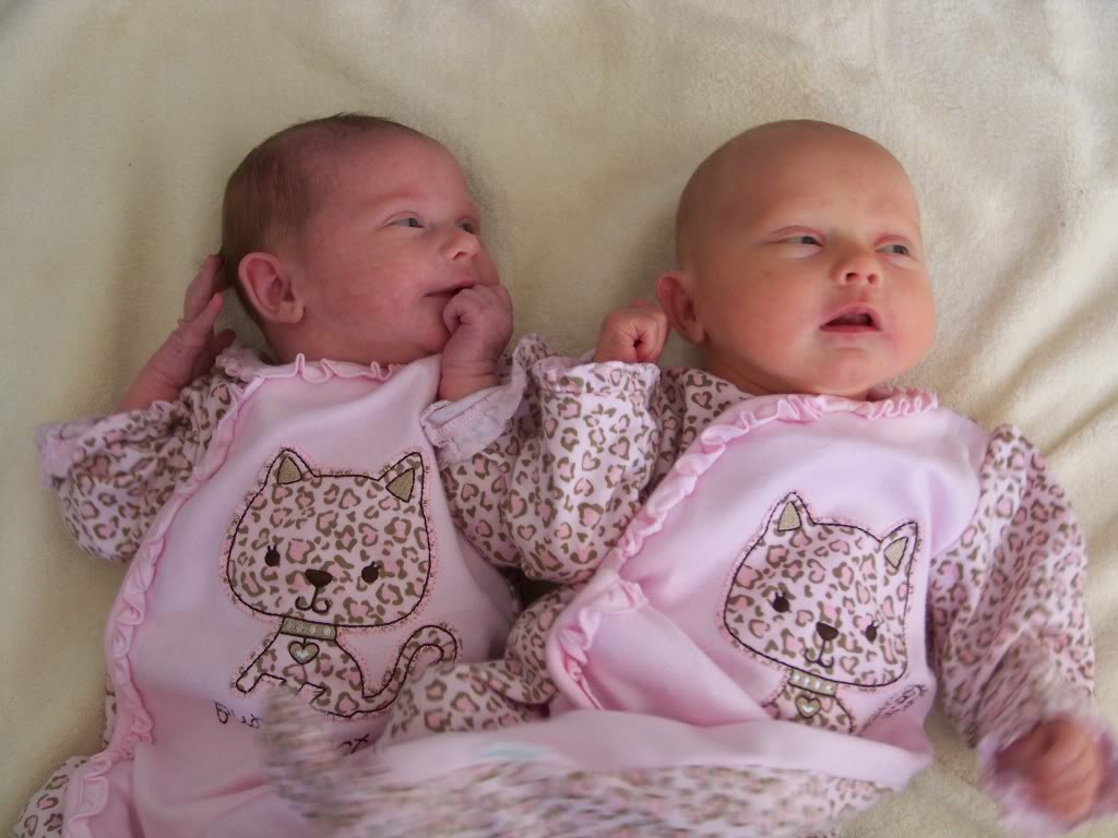 Foto Bayi Kembar Unyu Unyu Bangetz Si Gambar