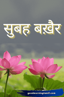 good morning in hindi quotes