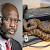 دفتر میں زہریلے سانپ آن دھمکے، افریقی صدر کو حکومت گھر سے چلانا پڑگئی