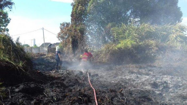 Kebakaran Hutan Di Riau Terjadi Hingga 1.136 Hektar